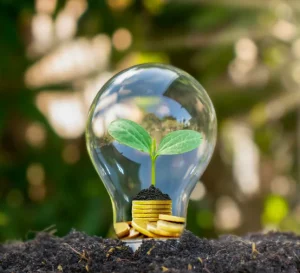 image d'une ampoule posée sur de la terre avec de la végétation à l'intérieur